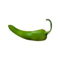 Green hot natural chili pepper pod realistic vector illustration. Royalty Free Stock Photo