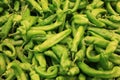 Green hot pepper Royalty Free Stock Photo