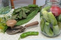 Green hot pepper and herbs on the table with glass jar with pickled vegetables cucumber and tomato with herbs and spices Royalty Free Stock Photo