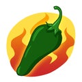 Single green hot pepper illustration