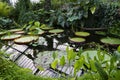 Botanical garden in London with green house