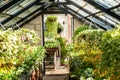 Green house interior with plants and gardening tools. Royalty Free Stock Photo