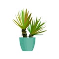 Green house plant in pot. Leaf cactus flat. Vector. Royalty Free Stock Photo