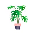 Green house plant in pot. Leaf flower flat. Vector.