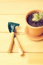 Green house plants in brown clay pots on an old wooden background succulent. Gardening tools. instagram filter Royalty Free Stock Photo