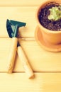 Green house plants in brown clay pots on an old wooden background succulent. Gardening tools. instagram filter Royalty Free Stock Photo