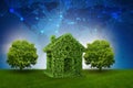 The green house and tree in ecologic living concept - 3d rendering Royalty Free Stock Photo