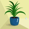 Green houseplant in blue pot