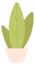 Green houseplant icon. Home decoration. Flowerpot symbol