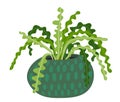 Green houseplant icon. Indoor fern plant in pot