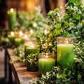 Green houseplants and burning candle closeup shot, natural home decor with plats and leaves