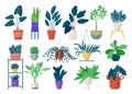 Green houseplants in pots icon set of isolated vector illustrations. Home greenery, flowers and pots with succulents Royalty Free Stock Photo