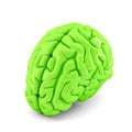 Green human brain close up. Isolate. Contains clipping path