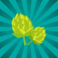 Green Humulus Hop Vector Illustration Isolated Ray