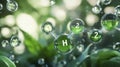 Green Hydrogen Molecule 3D Render with Water Droplets and Leaves Royalty Free Stock Photo
