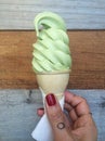 Green ice cream cone Royalty Free Stock Photo