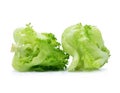 Green Iceberg lettuce with drops of water on white background Royalty Free Stock Photo