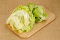 Green iceberg lettuce Royalty Free Stock Photo