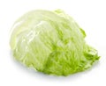 Green iceberg lettuce leaf Royalty Free Stock Photo