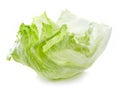 Green iceberg lettuce leaf Royalty Free Stock Photo