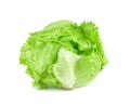 Green Iceberg lettuce on white background, Fresh cabbage isolate