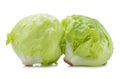 Green Iceberg lettuce on white background Royalty Free Stock Photo