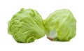 Green Iceberg lettuce on white background Royalty Free Stock Photo