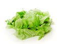 Green Iceberg Salad