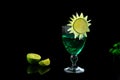 GREEN ICED DRINK DECORATED WITH LEMON Royalty Free Stock Photo