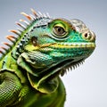 Green iguana isolated on white background. AI generated Royalty Free Stock Photo