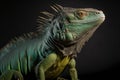 Green iguana portrait on black background posing in studio, Photo realistic image, Generative Ai Royalty Free Stock Photo