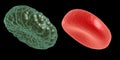 Green illness and red blood cell