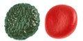 Green illness and red blood cell