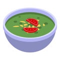 Green indian soup icon, isometric style