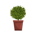 Green indoor house plant in brown pot, element for decoration home interior vector Illustration on a white background Royalty Free Stock Photo