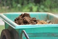 Wheelbarrow of manure