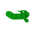 Green Inflatable boat with outboard motor icon isolated on transparent background.