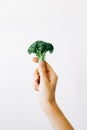 Green inflorescence of fresh broccoli in hand on a white background. vegan food