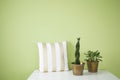 Green interior with decorative pillow