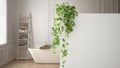 Green interior design concept background with copy space, foreground white wall with potted plant, classic bathroom