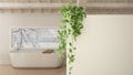 Green interior design concept background with copy space, foreground white wall with potted plant, scandinavian classic