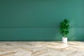 green interior design ,empty room with plant on wood flooring and dark green wall /3d render