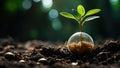 Green Investment Growth - Plants in Bulbs, Rising Money Concept