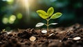Green Investment Growth - Plants in Bulbs, Rising Money Concept