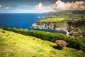 Green island in the Atlantic Ocean, Sao Miguel, Azores, Portugal Royalty Free Stock Photo