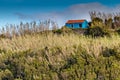 Green island in the Atlantic Ocean, Sao Miguel, Azores, Portugal Royalty Free Stock Photo