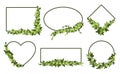 Green ivy frame. Botanic border, evergreen leaves and vines frames in square, ellipse, rhombus, and heart shapes vector