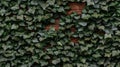Green ivy grows up a brick wall SEAMLESS PATTERN Royalty Free Stock Photo
