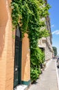 Green Ivy: Historic Fremantle Royalty Free Stock Photo