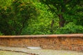 Green ivy leaves covered the wall. Background of natural wood fence for design artwork. advertising, postcard Royalty Free Stock Photo